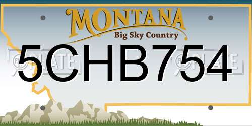 5CHB754 Montana License Plate