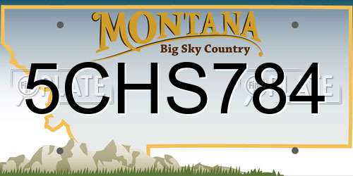 5CHS784 Montana License Plate