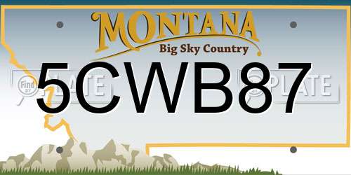 5CWB87 Montana License Plate