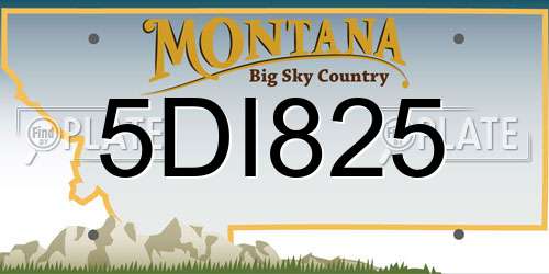5DI825 Montana License Plate