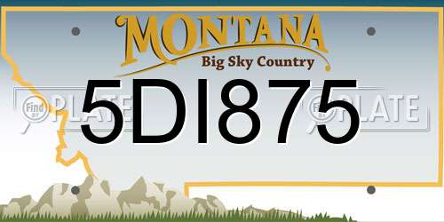 5DI875 Montana License Plate