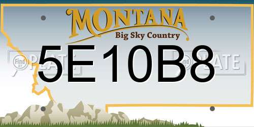 5E10B8 Montana License Plate