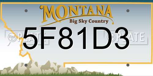 5F81D3 Montana License Plate
