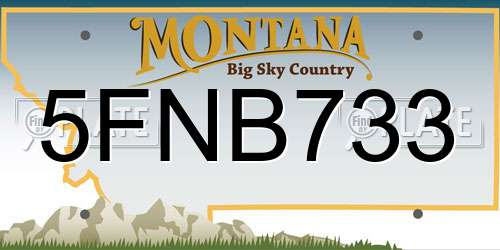 5FNB733 Montana License Plate