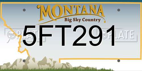 5FT291 Montana License Plate