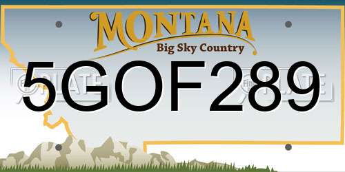5GOF289 Montana License Plate