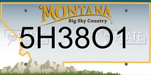 5H38O1 Montana License Plate