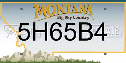 5H65B4 Montana License Plate