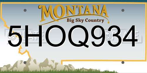 5HOQ934 Montana License Plate