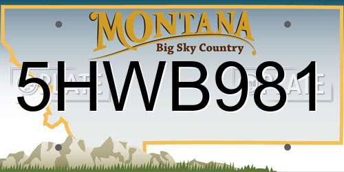5HWB981 Montana License Plate