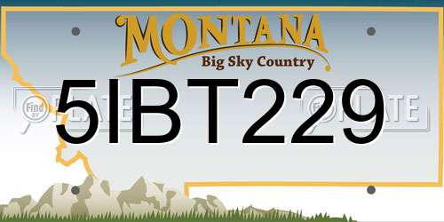 5IBT229 Montana License Plate
