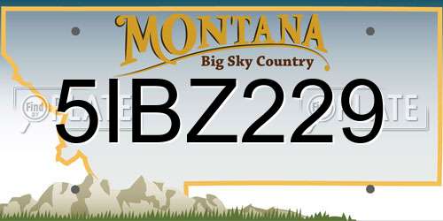 5IBZ229 Montana License Plate