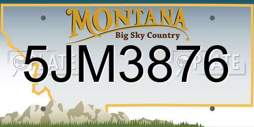 5JM3876 Montana License Plate