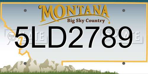5LD2789 Montana License Plate
