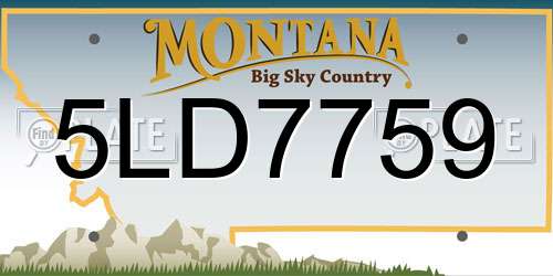 5LD7759 Montana License Plate