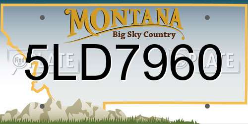 5LD7960 Montana License Plate