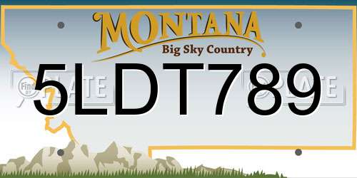 5LDT789 Montana License Plate