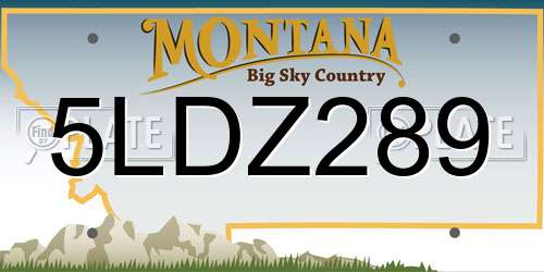 5LDZ289 Montana License Plate