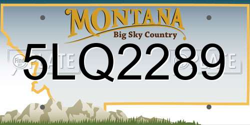 5LQ2289 Montana License Plate