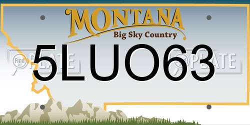 5LUO63 Montana License Plate