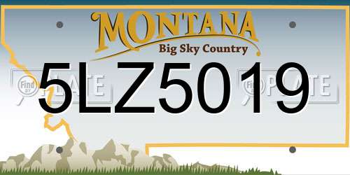 5LZ5019 Montana License Plate