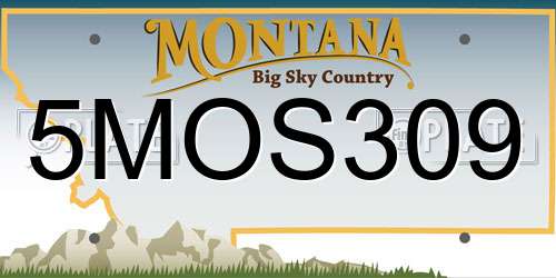5MOS309 Montana License Plate