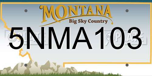 5NMA103 Montana License Plate