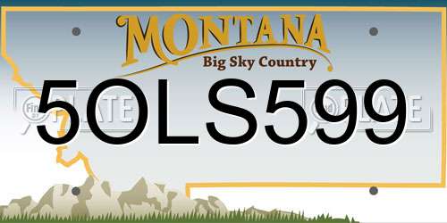 5OLS599 Montana License Plate