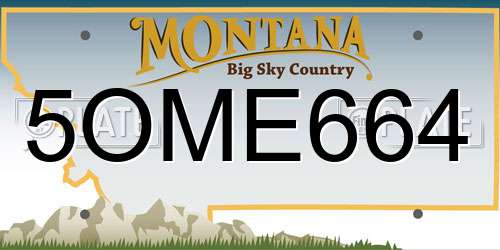 5OME664 Montana License Plate