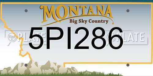 5PI286 Montana License Plate