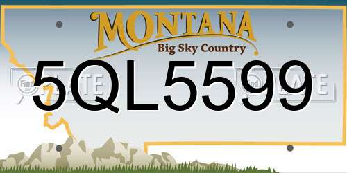 5QL5599 Montana License Plate