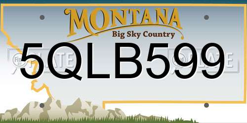 5QLB599 Montana License Plate