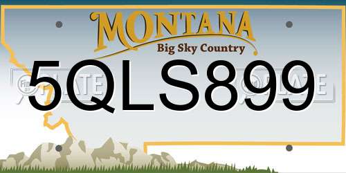 5QLS899 Montana License Plate