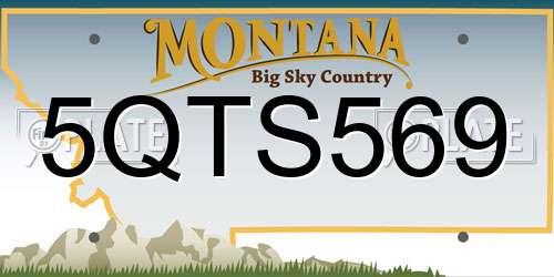 5QTS569 Montana License Plate
