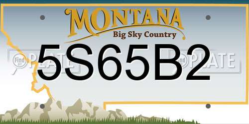 5S65B2 Montana License Plate