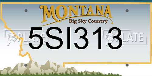 5SI313 Montana License Plate