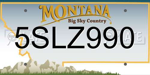 5SLZ990 Montana License Plate