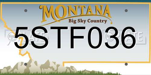 5STF036 Montana License Plate