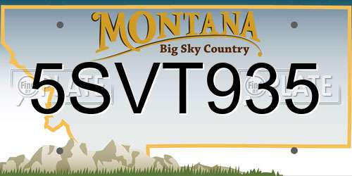 5SVT935 Montana License Plate