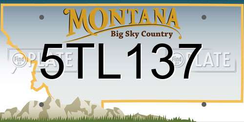 5TL137 Montana License Plate