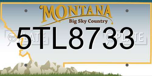 5TL8733 Montana License Plate