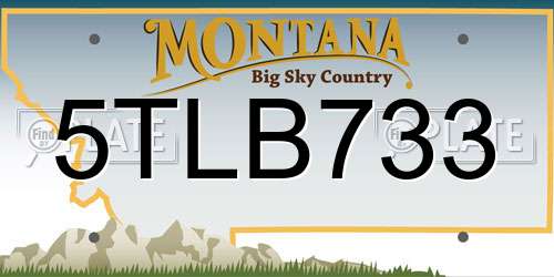 5TLB733 Montana License Plate