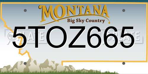 5TOZ665 Montana License Plate