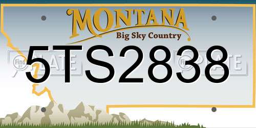 5TS2838 Montana License Plate