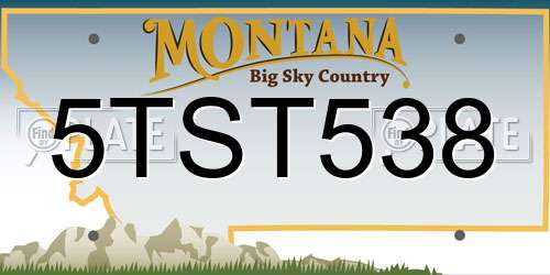 5TST538 Montana License Plate