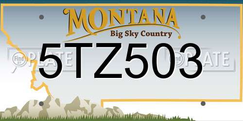 5TZ503 Montana License Plate