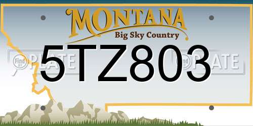 5TZ803 Montana License Plate