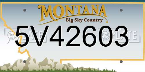 5V42603 Montana License Plate