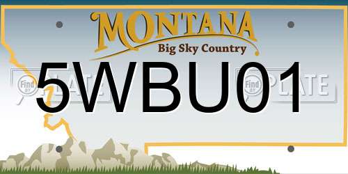 5WBU01 Montana License Plate