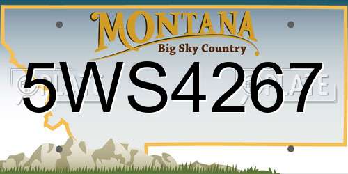 5WS4267 Montana License Plate